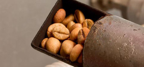 Brente b&oslash;nner&nbsp;&ndash;&nbsp;m&oslash;rkere brente b&oslash;nner har mindre koffein